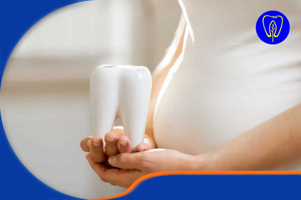 کشیدن دندان در بارداری در ماه های مختلف